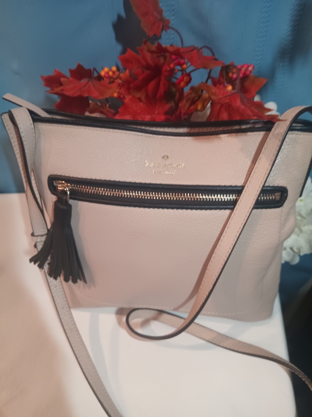 Kate Spade Chester Street Dessi Tassel Crossbody